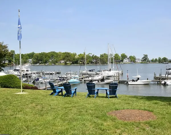 Annapolis Cove Marina docks with boats